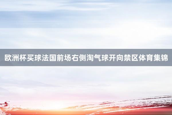 欧洲杯买球法国前场右侧淘气球开向禁区体育集锦