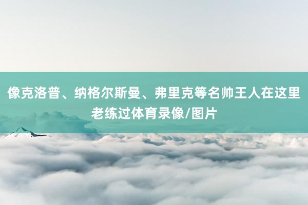 像克洛普、纳格尔斯曼、弗里克等名帅王人在这里老练过体育录像/图片