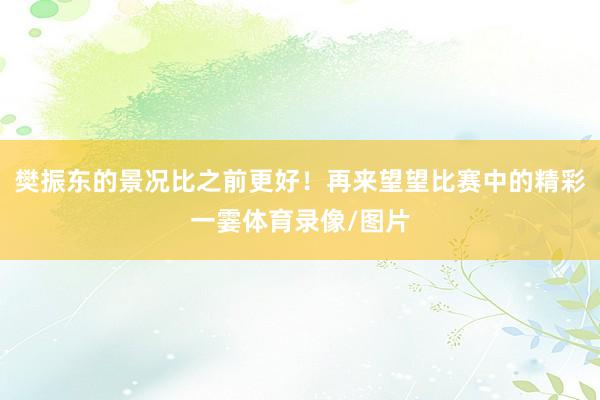 樊振东的景况比之前更好！再来望望比赛中的精彩一霎体育录像/图片