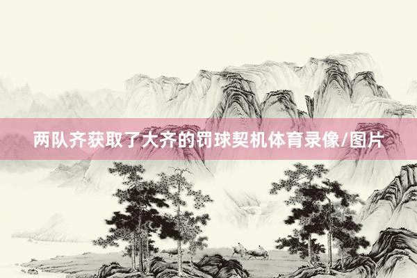 两队齐获取了大齐的罚球契机体育录像/图片