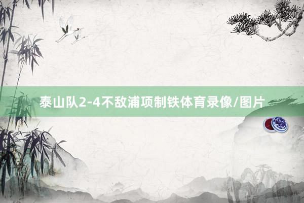 泰山队2-4不敌浦项制铁体育录像/图片