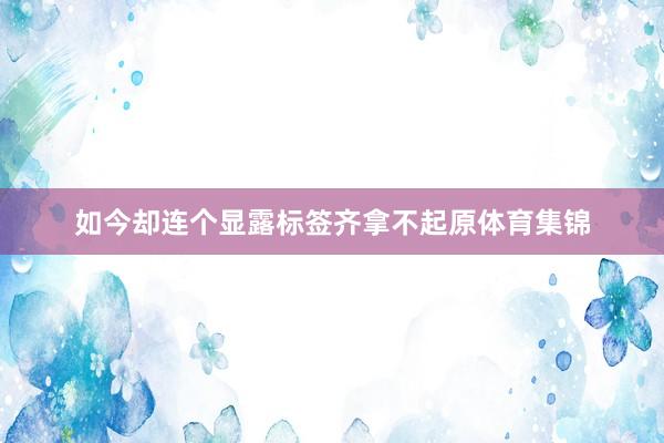 如今却连个显露标签齐拿不起原体育集锦