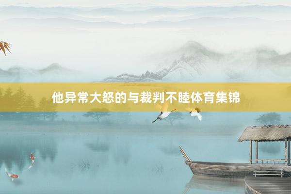 他异常大怒的与裁判不睦体育集锦